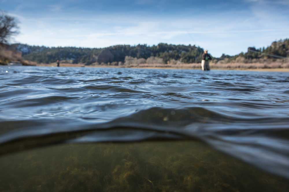 Fly Fishing Trout Spey