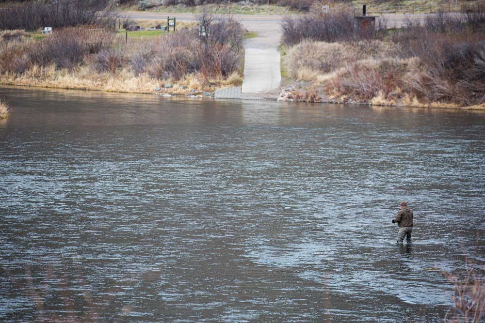 Fly Fishing Trout Spey