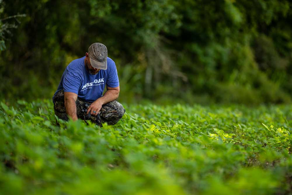 food plot fixes