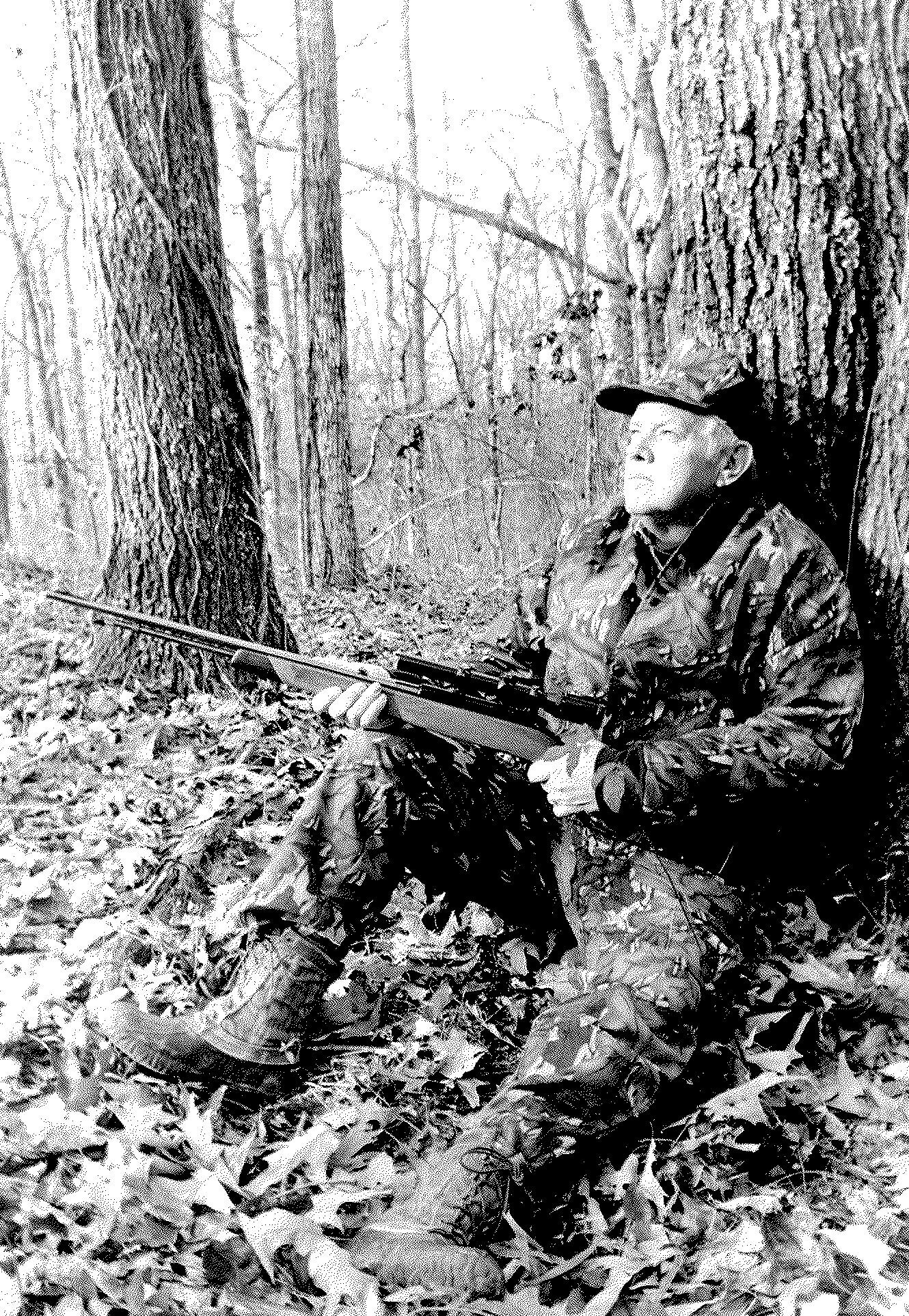 mr fox with his back against the pines