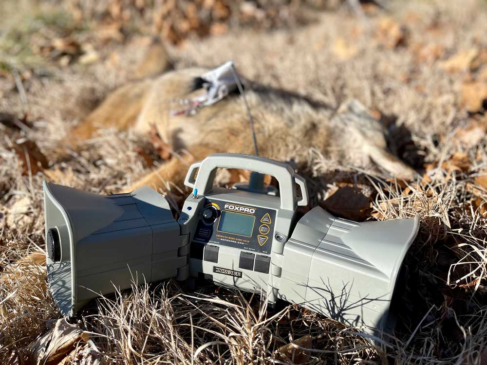 FoxPro electronic coyote call