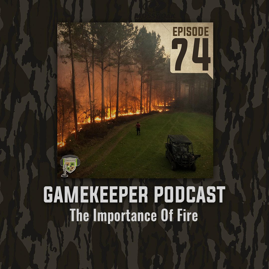 gamekeeper podcast