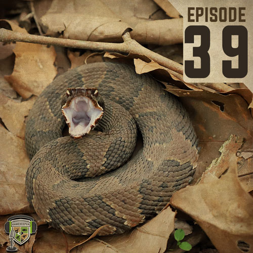 GameKeeper podcast snakes