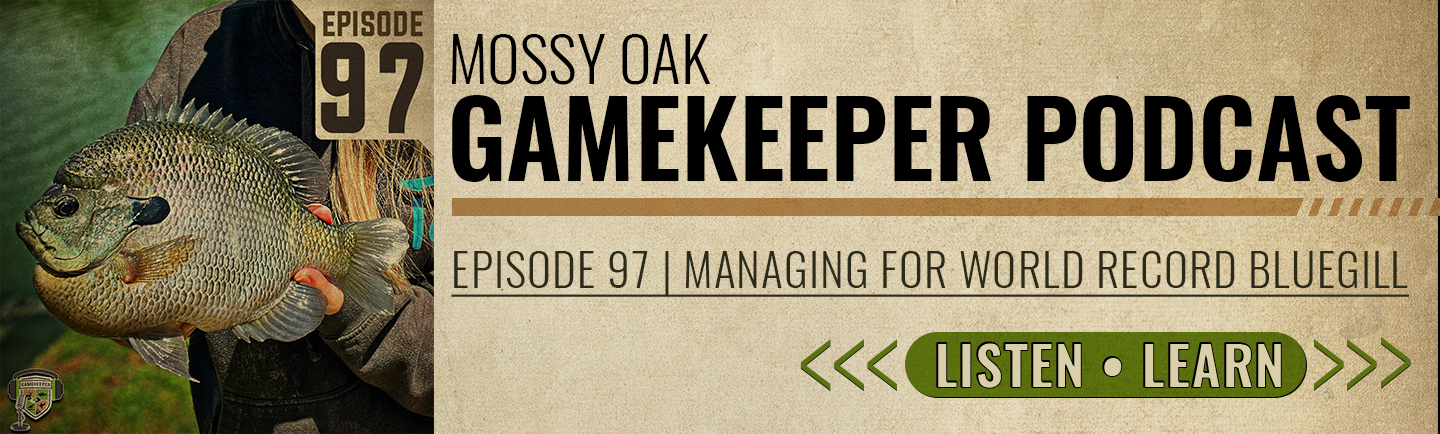 an ad for an episode of gamekeeper podcast about raising record bluegill