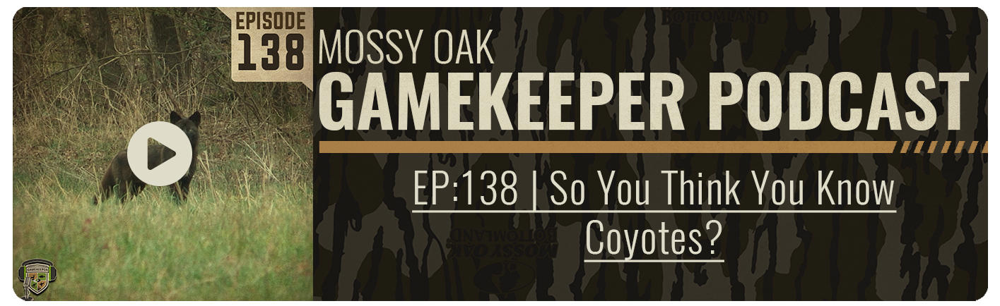 gamekeeper podcast about coyotes