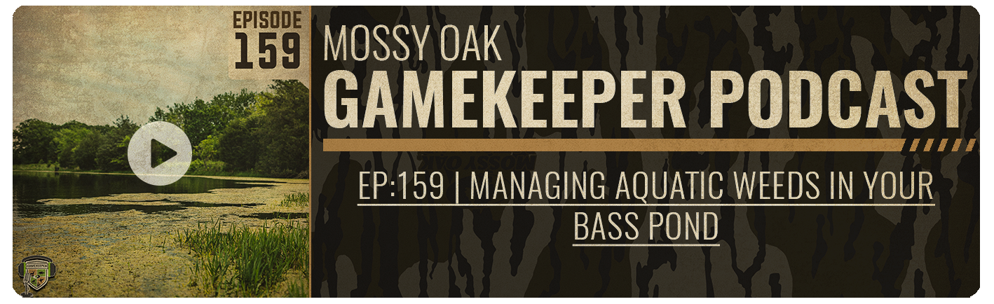 gamekeeper podcast