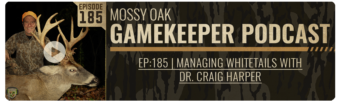 gamekeeper podcast
