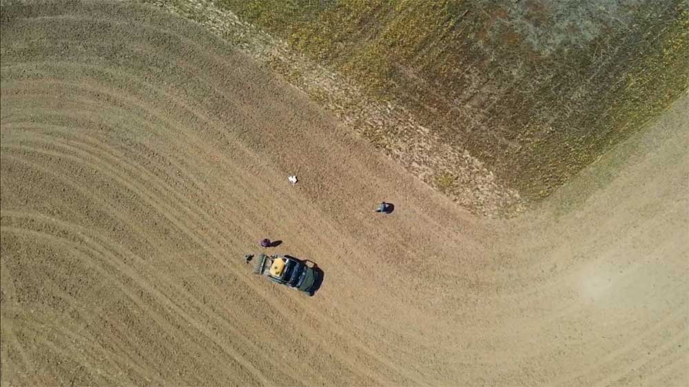 preparing soil for soybeans