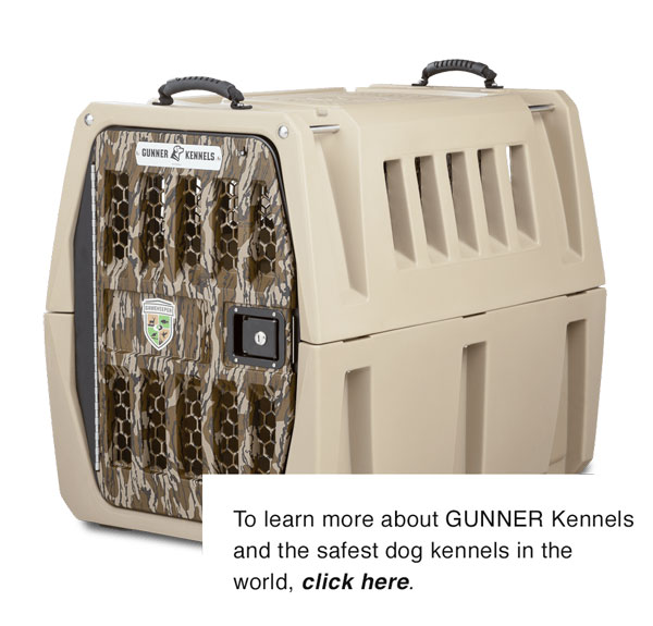 Gunner Kennel with description