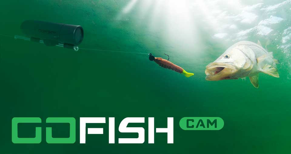 Gofish Cam underwater