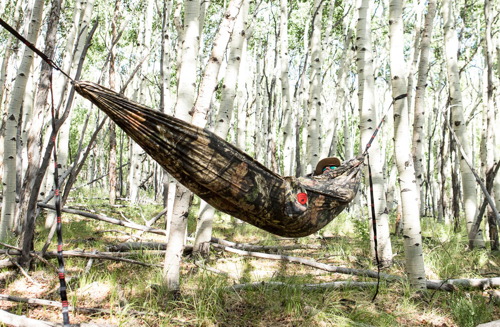 Hammock