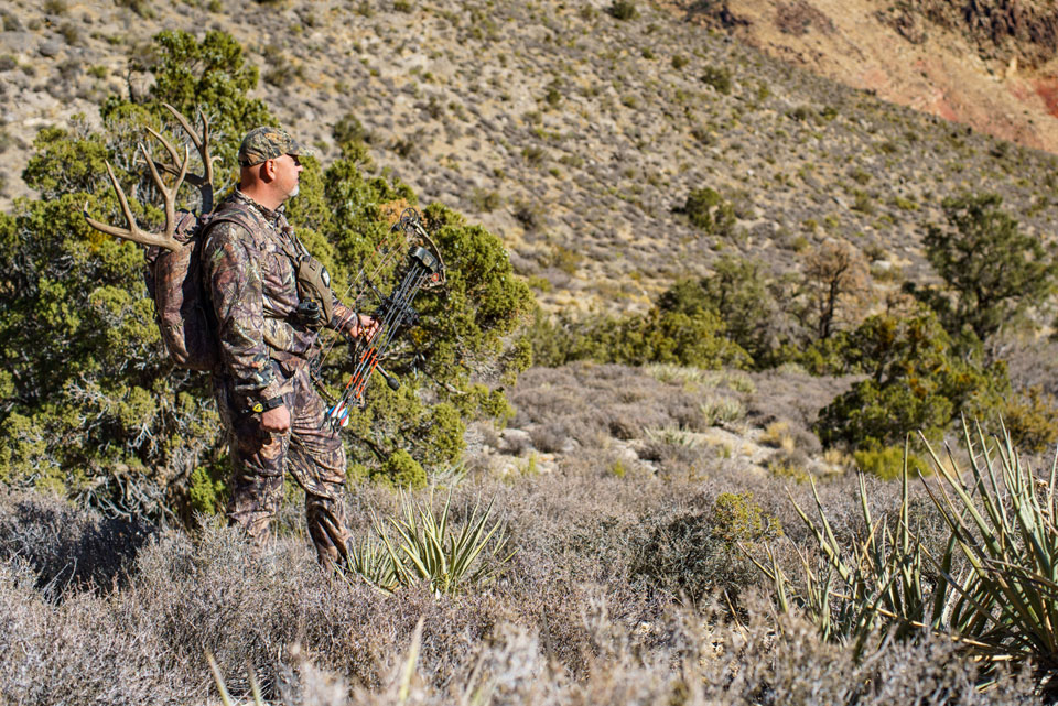 bowhunting mule deer