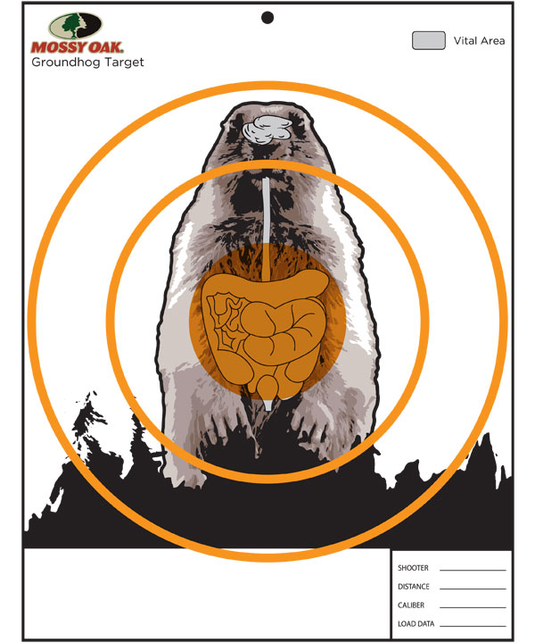 groundhog target