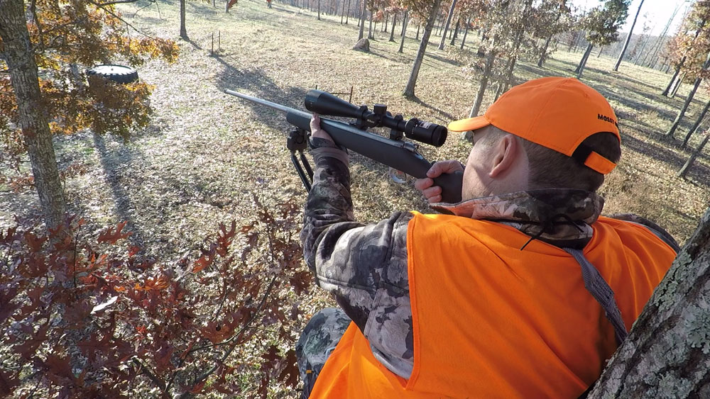 Heath Wood hunting from stand