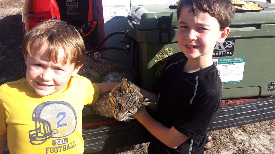 Johnson children trapping bobcat