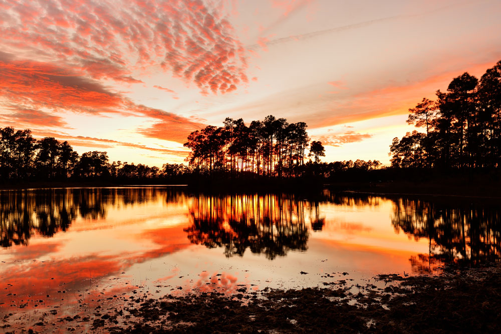 Long Pine Key Lake Florida