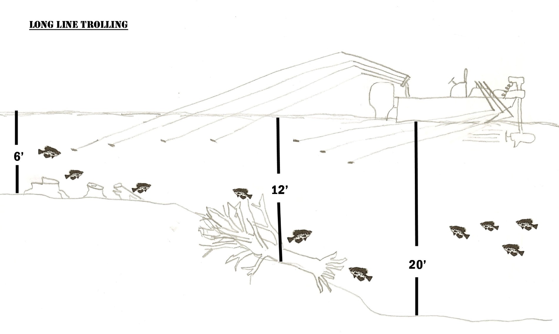 long lining for crappie