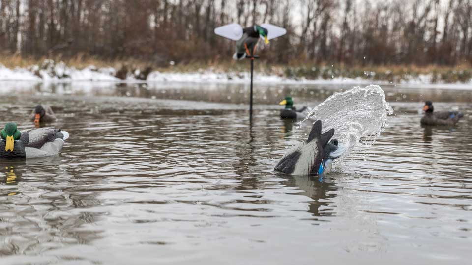 Lucky Duck Agitator decoy