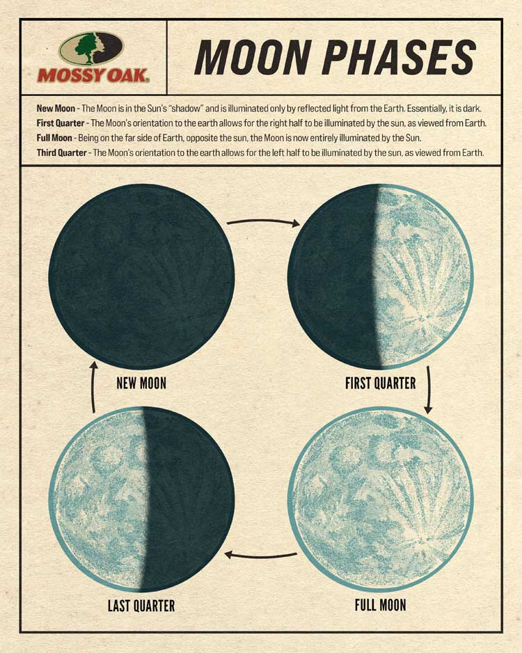 moon phases