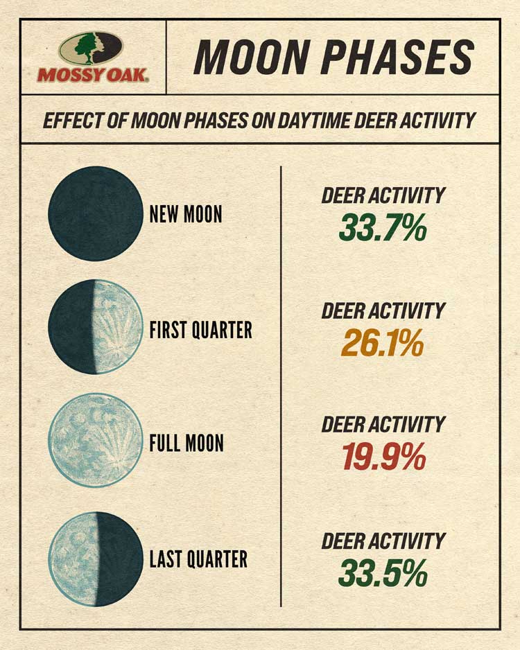 moon phases deer movement