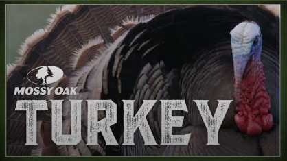 turkey season Mossy Oak GO