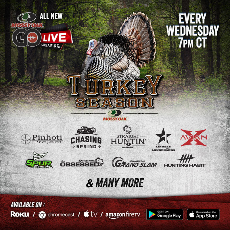 Mossy Oak Go Live turkey season