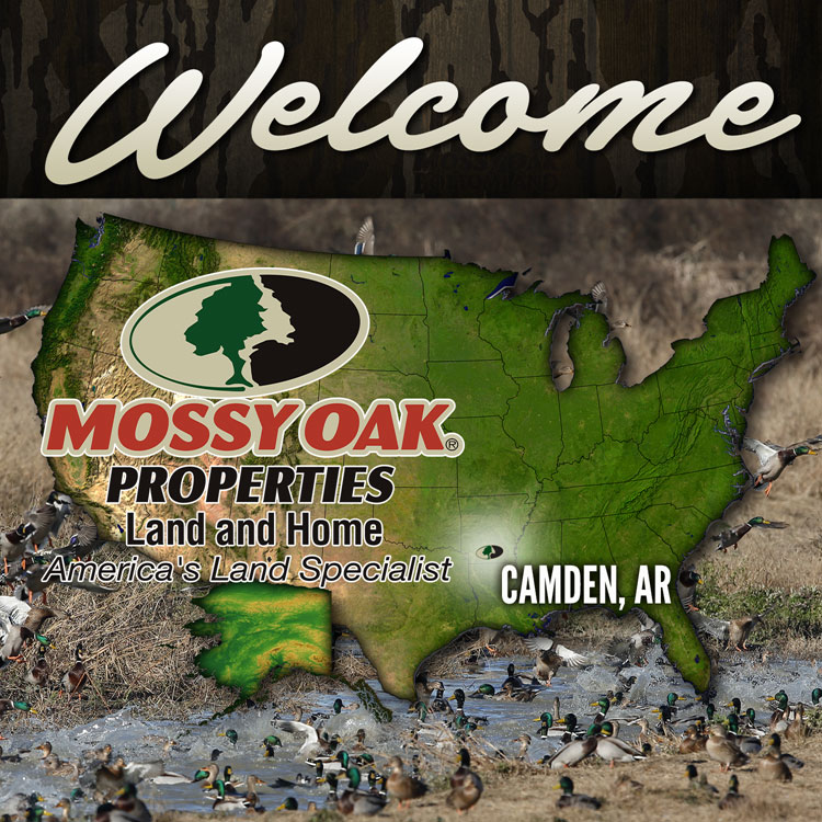 Mossy Oak Properties Arkansas