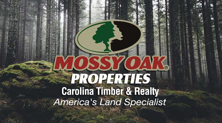 Mossy Oak Properties Carolina Timber