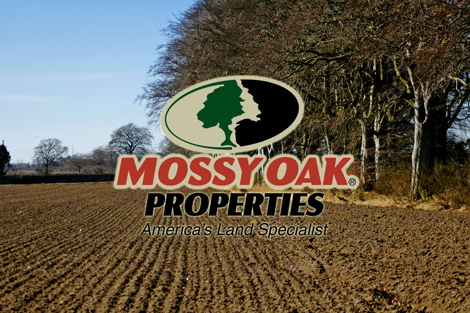 Mossy Oak Properties Land Report