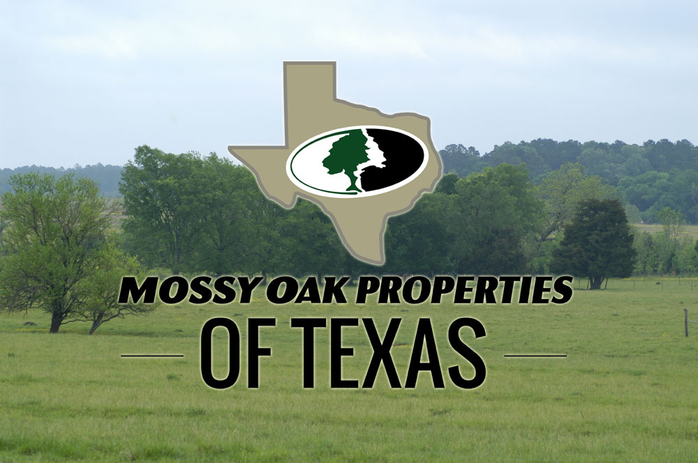 Mossy Oak Properties Texas