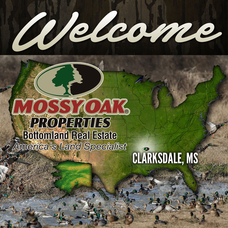 Mossy Oak Properties new office Clarksdale