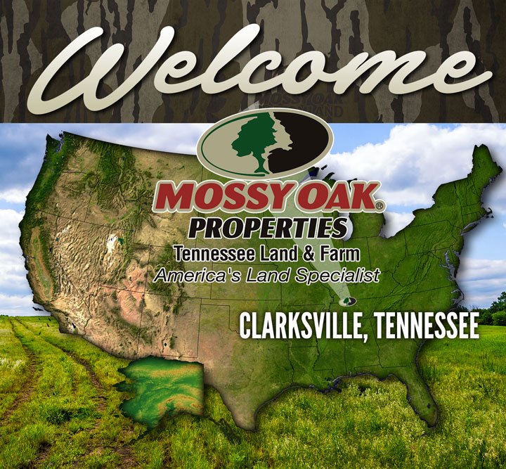 Mossy Oak Properties