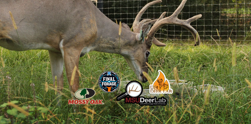 Final Forage Deer logos