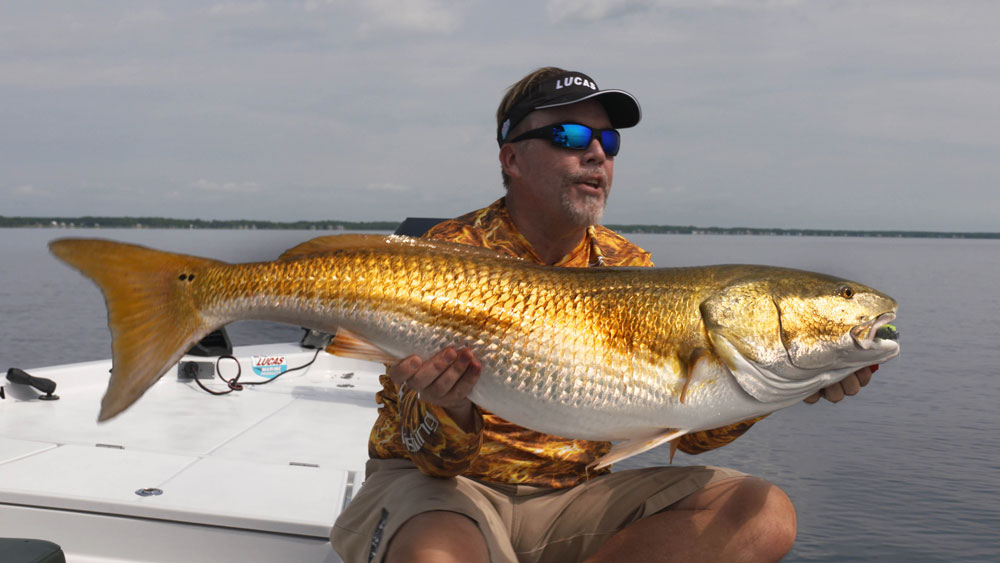 Mark Davis bull redfish