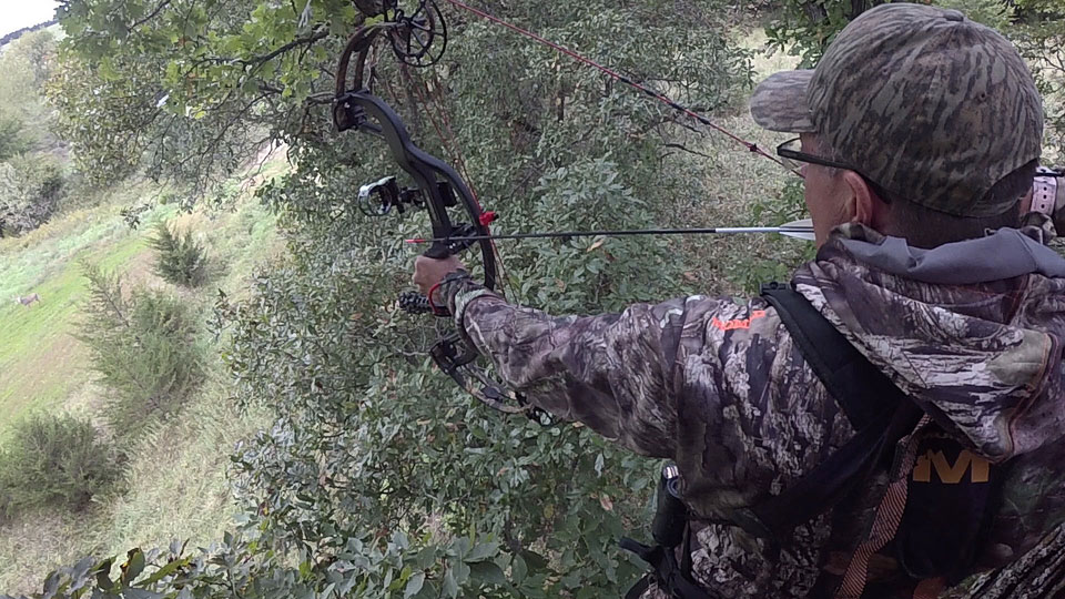 Mark Drury bowhunting mule deer