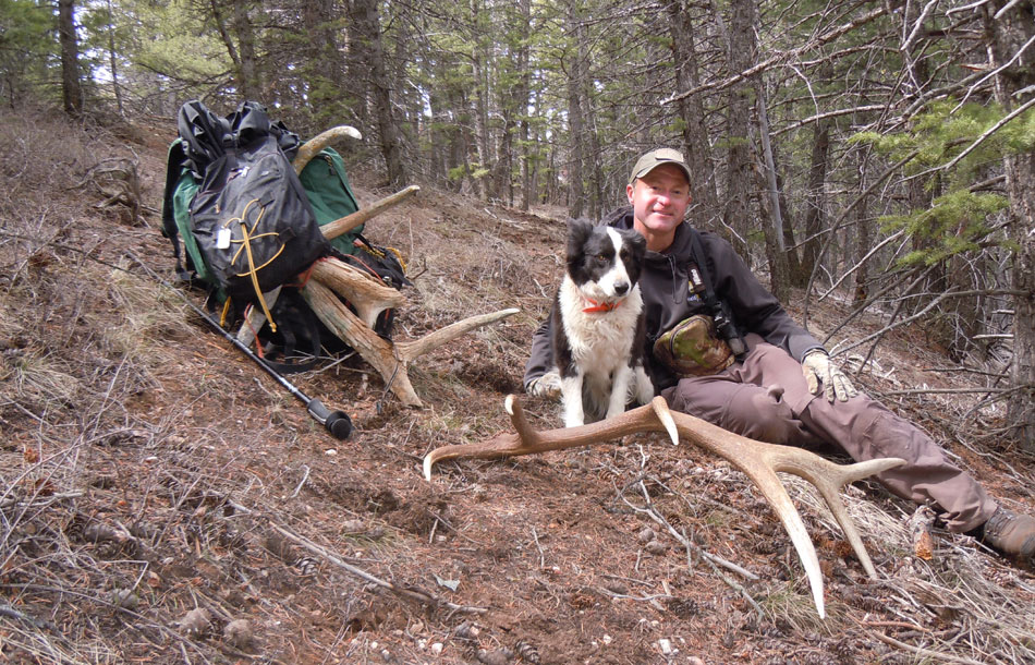 elk shed hunting