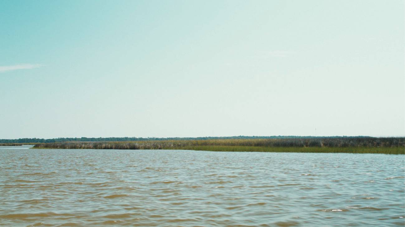 oyster restoration