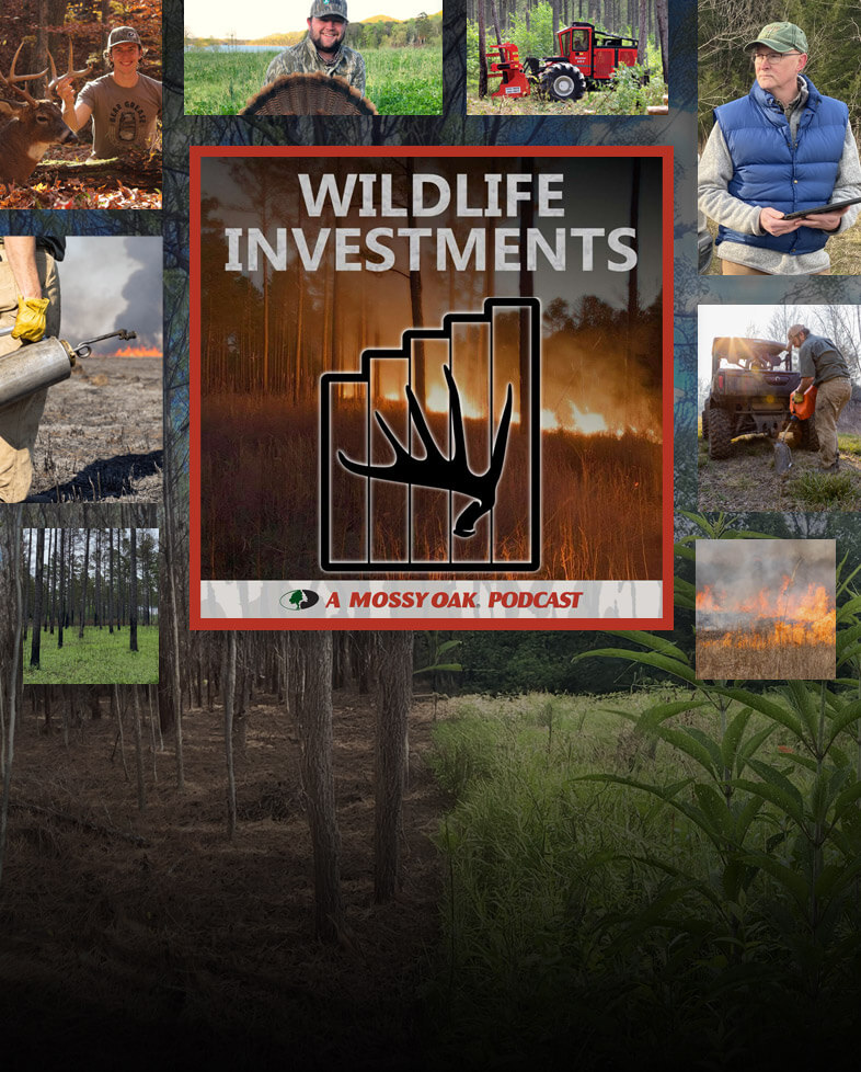 Wildlife Investments Podcast