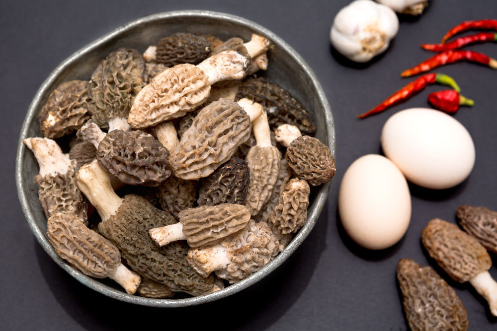 morel mushrooms and eggs