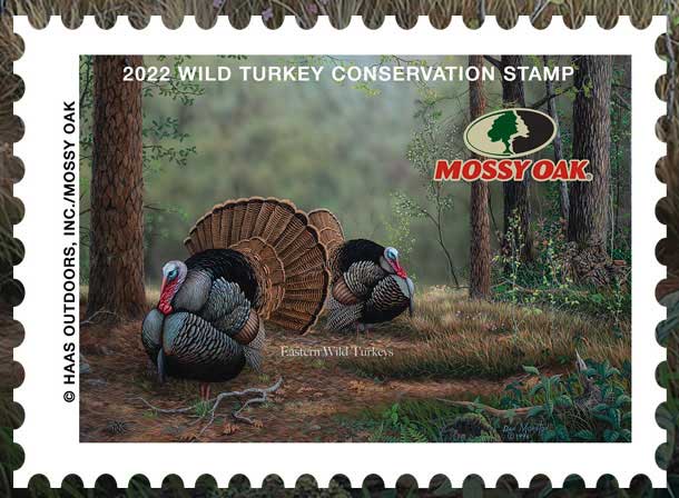 Mossy Oak turkey stamp 2022
