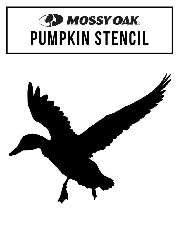 mallard pumpkin stencil