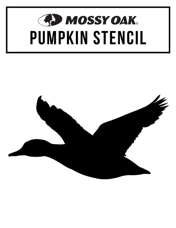 duck pumpkin stencil