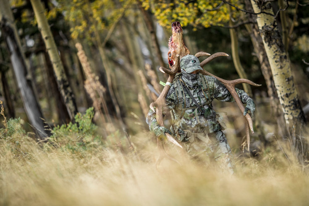 elk hunter packing out elk