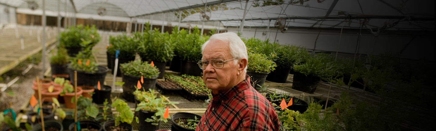 Mr. Fox Nativ Nursery 