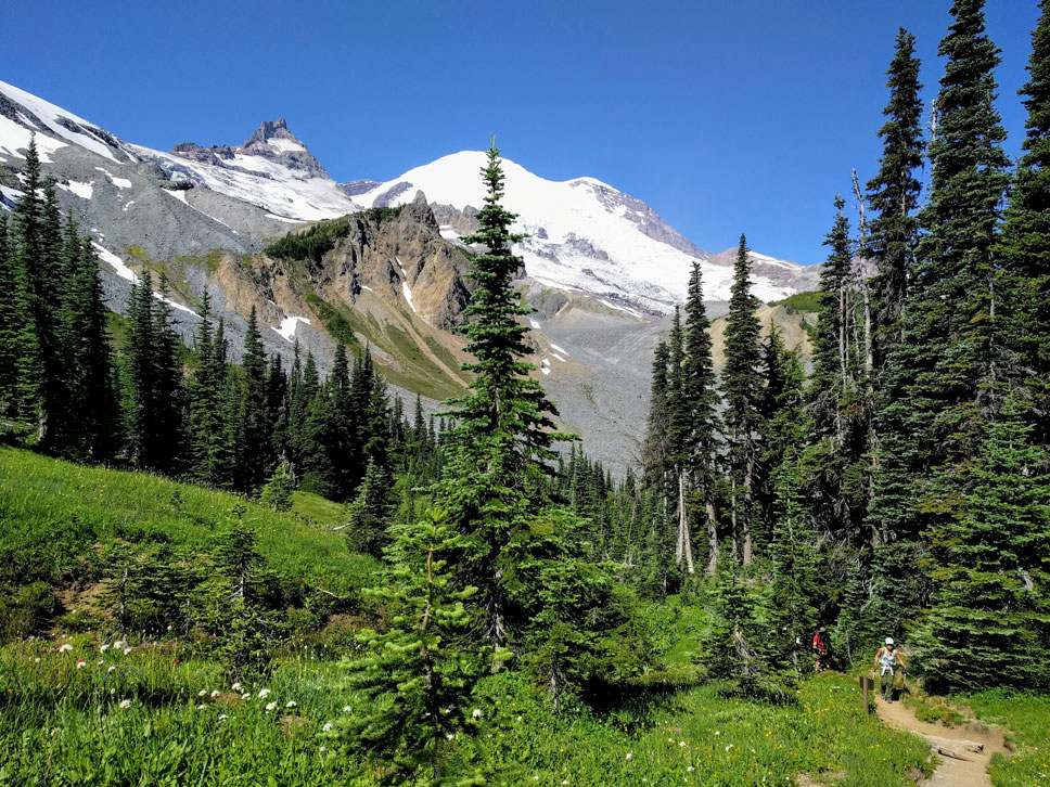 hiking at Mount Rainier