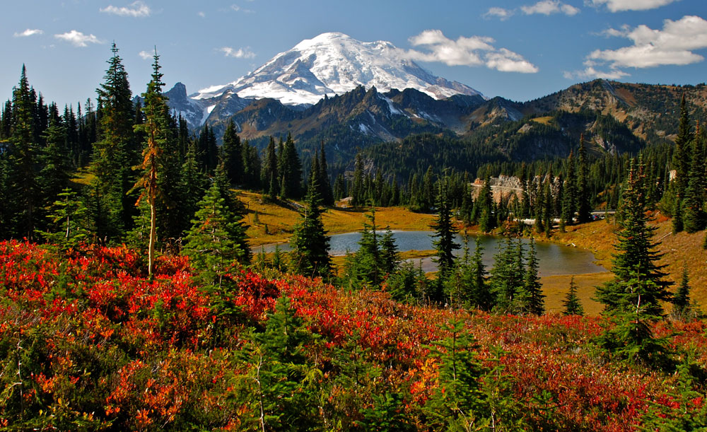 Mt. Rainier