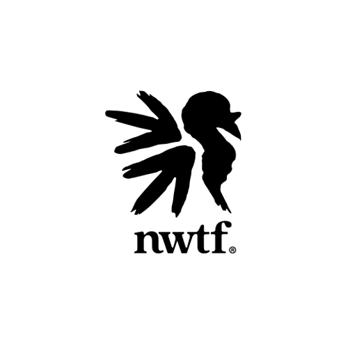 NWTF