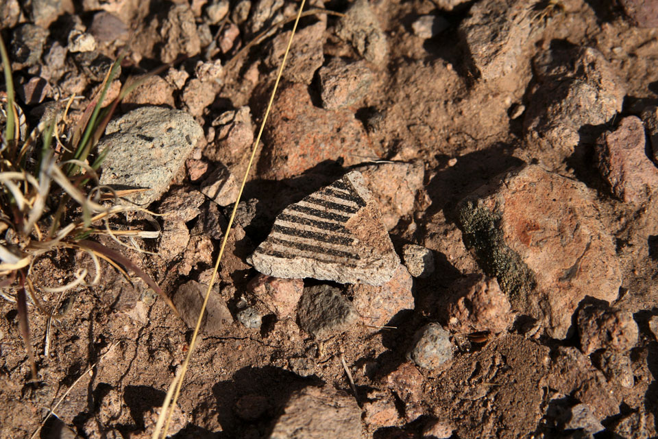 Native American pottery shard