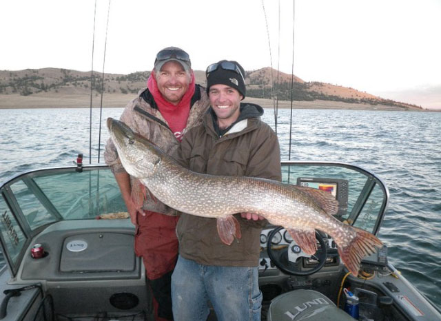 northern pike fishing