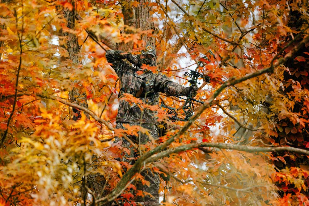 October bowhunting deer